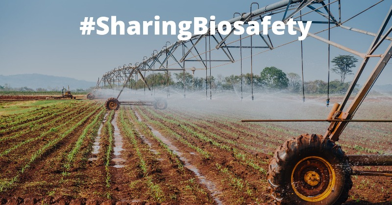 UNBiodiversity's tweet image. We are celebrating #20YearsBiosafety

The 🆕 Biosafety Clearing House (BCH) &amp;amp; its cutting edge search + submit platform make it easier than ever to access + share resources that can help make better decisions regarding the use &amp;amp; import/export of #LMOs.

👇bch.cbd.int/protocol/20tha…