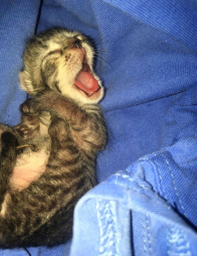 : i miss my homeee 🥺😭

my home: