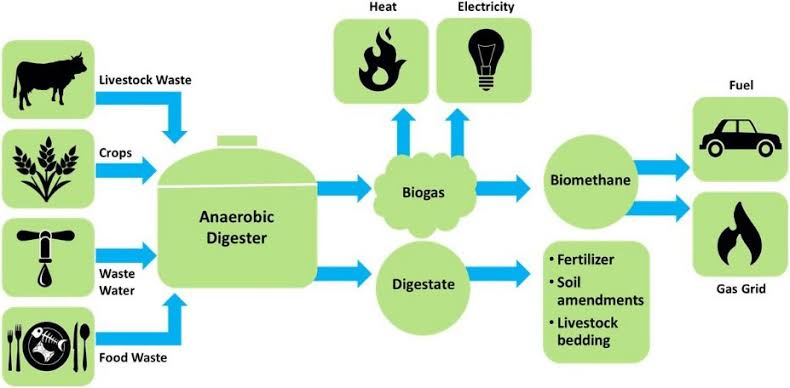Do you know that : 
China🇨🇳 has the highest number of #biogas plants among the IEA Bioenergy Task 37 member countries, with more than 100,000 biogas plants, followed by Germany 🇩🇪 with over 10,000 plants.
<a href="/sumuelahi/">Sumu Elahi</a> <a href="/OlumideIDOWU/">Mr. Climate</a> <a href="/GreenongreenO/">Ocharan_GreenOnGreen</a> <a href="/FMEnvng/">Environment Ministry</a> <a href="/jidesanwoolu/">Babajide Sanwo-Olu</a> <a href="/ClimateWed/">ICCDI AFRICA</a>