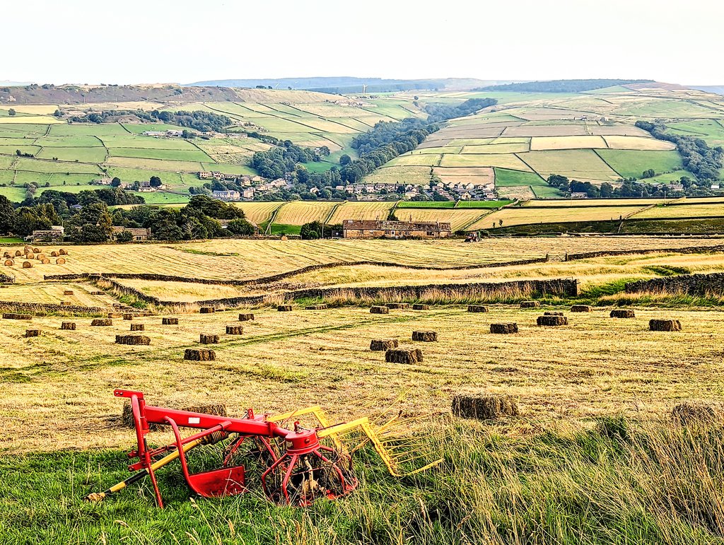 J_Ded's tweet photo. Few pics from the garden last night, Nephew been taking advantage of the dry weather and getting the hay cut and baled. https://t.co/PUNvSsrBni