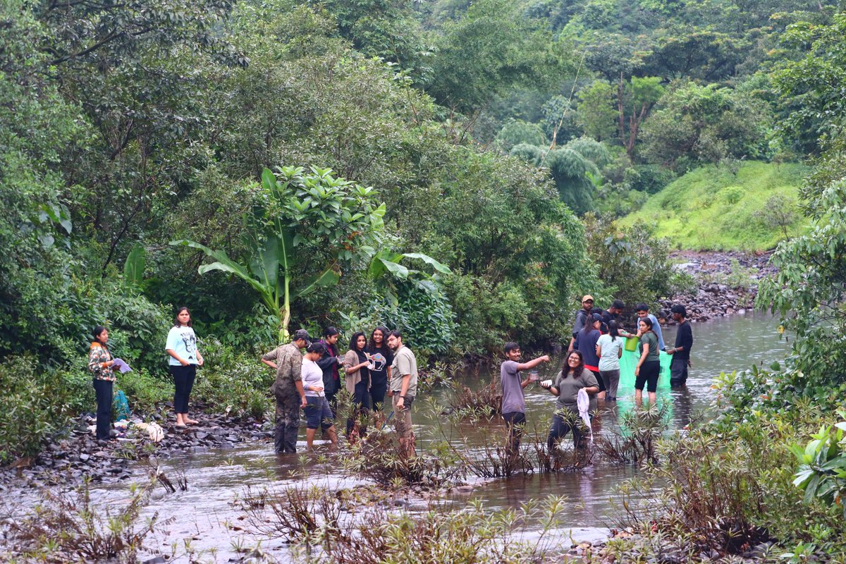 🌧️🌿 Fieldwork in the midst of the monsoon rains! 🌦️ Our Wildlife Conservation Action students ventured into the lush rain-soaked landscapes, furthering their studies in Fish and Amphibian taxonomy. Rain or shine, their dedication to understanding and conserving our precious