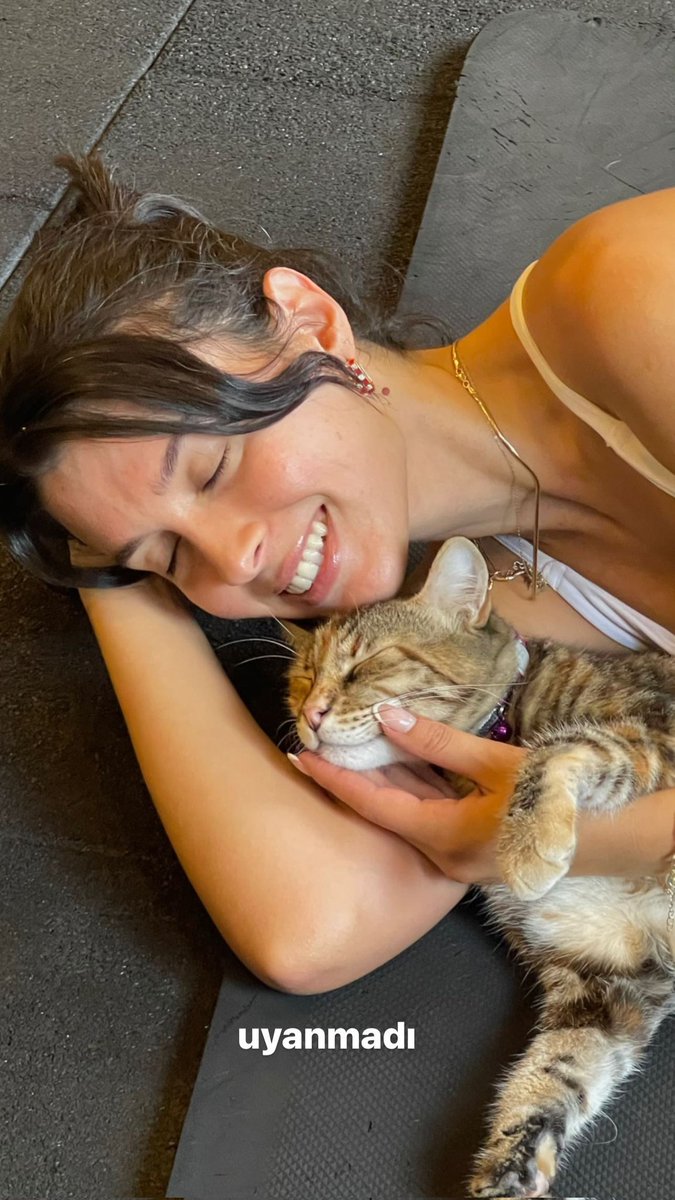 İki kedi❤️😻😭 #buçebusekahraman