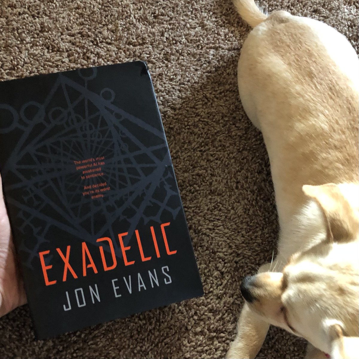 torbooks's tweet photo. Who's ready for a #sweepstakes?! Today, we're giving you the chance to win a copy of #Exadelic by @rezendi. To enter, just follow us, then like and retweet this post. Best of luck, y'all! 

#ExadelicSweeps https://t.co/t6adOL3csy