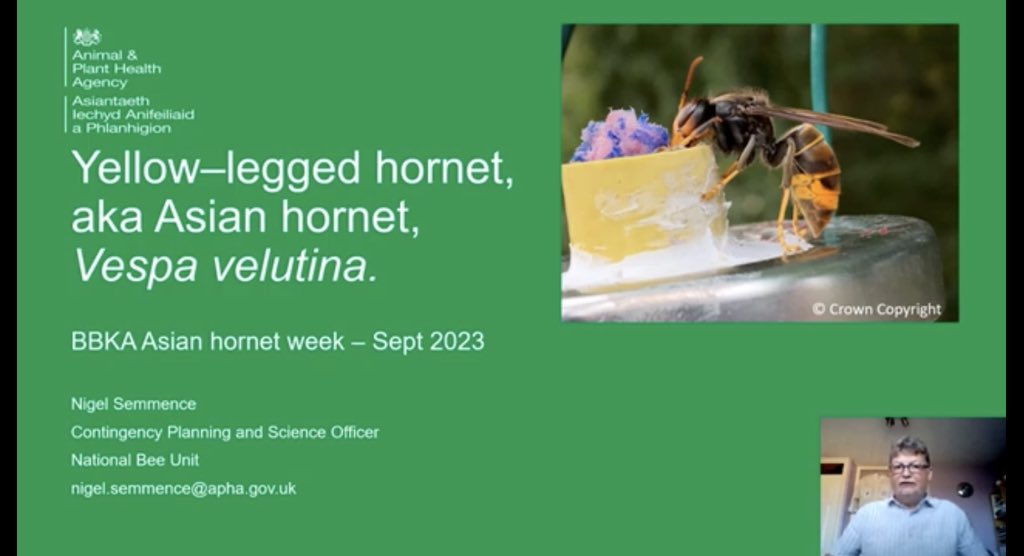 An Asian Hornet Update from Nigel Semmence of the National Bee Unit. 

Diweddariad Hornet Asiaidd gan Nigel Semmence o'r Uned Wenyn Genedlaethol. 

youtu.be/9e9XmcvlaZQ?si…
