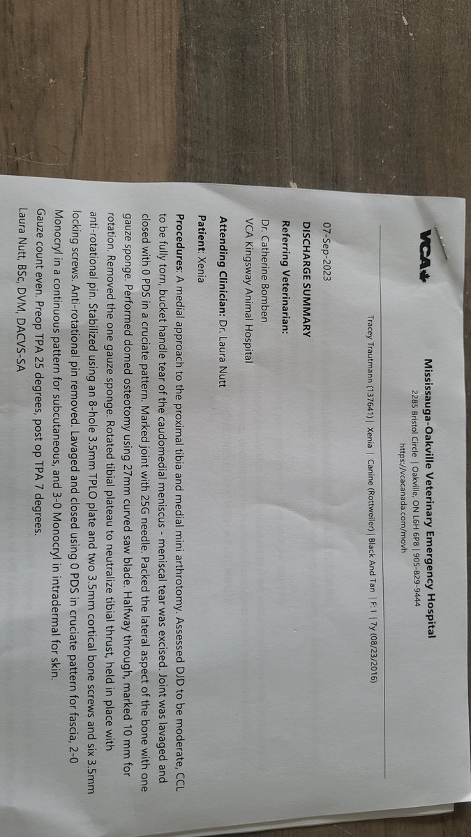 thereal16482192's tweet image. So pals dis is whats da nice special vetty lady dids to me to makes me all brands new..
Gibbs me times ands me will be chasing dem rabbits agains..🤣🤣😜😜