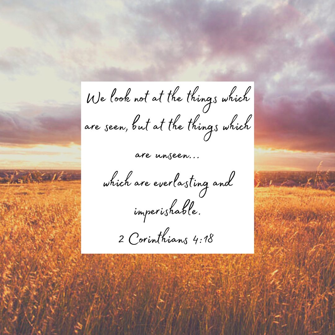 Steph_Cary_'s tweet photo. We look not at the things which are seen, but at the things which are unseen...which are everlasting and imperishable.
2 Corinthians 4:18 
.
.
.
#bibleverse #scripture #verseaday #christian #encouragement #hope #faith #peace #Jesus #Christ #stephcary #pointingtoChrist https://t.co/bXDVtGuWgK