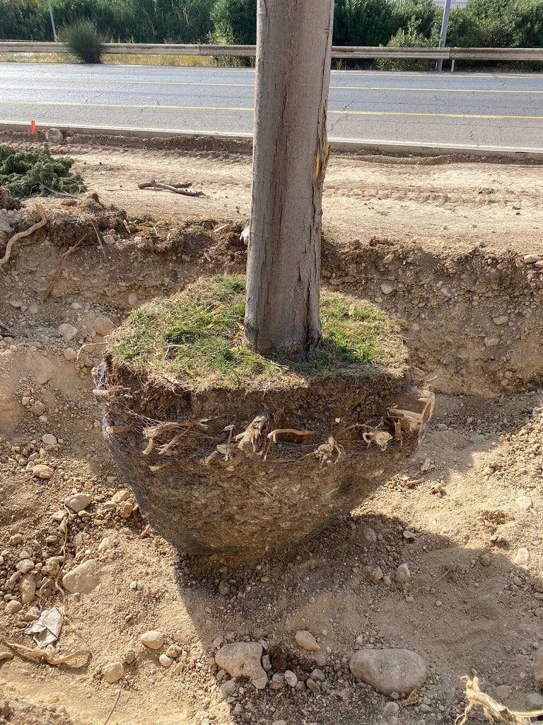 Trabajando y coordinando desde Medio Ambiente que todo salga a la perfección.
Que noooo sea por horas!
🌴 Bulevar de Ifeja hasta Recinto Ferial 
#Jaen