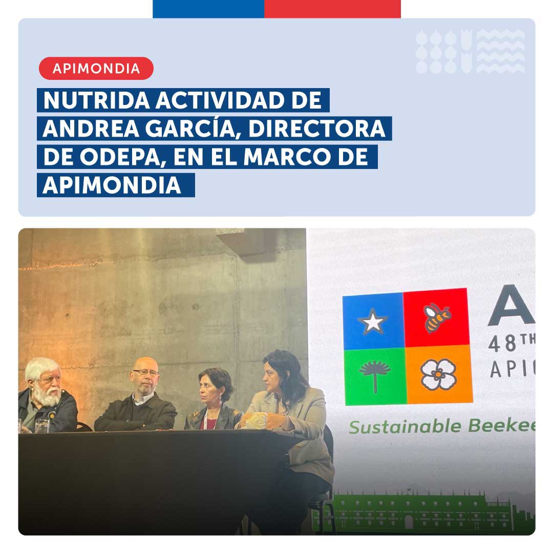 ODEPA's tweet photo. Nutrida agenda de directora #Odepa. Andrea García, en #Apimondia. Destacó que hasta el 12 de septiembre está disponible la Consulta Ciudadana sobre los anteproyectos de reglamentos de la Ley No 21.489 de Promoción, Protección y Fomento de la Actividad Apícola. https://t.co/DovDgQ7jxe