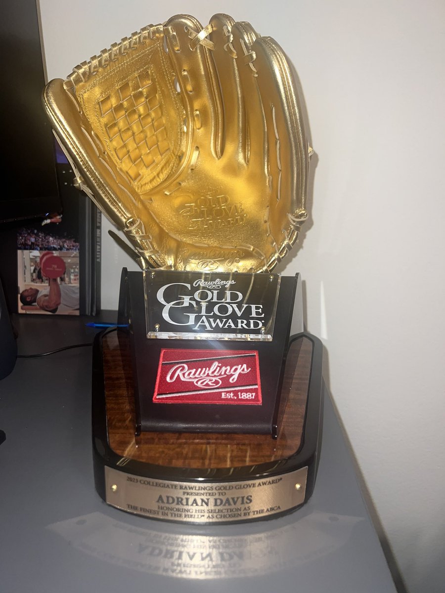 Blesssed to receive this award!! <a href="/SFSCAthletics/">SFSCAthletics</a> <a href="/RawlingsSports/">Rawlings Baseball</a>