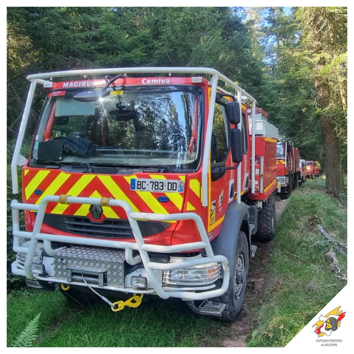 sdis67's tweet photo. [FORMATION] 🚒Cette semaine, 12 #Pompiers67 ont participé à un stage de conduite hors-chemin à #Saâles : sécurité routière, conduite d’engins tout-terrain et connaissances mécaniques. 
👉 Objectif : circuler dans tout type d’environnement en toute sécurité. https://t.co/nl5KuX1qPv