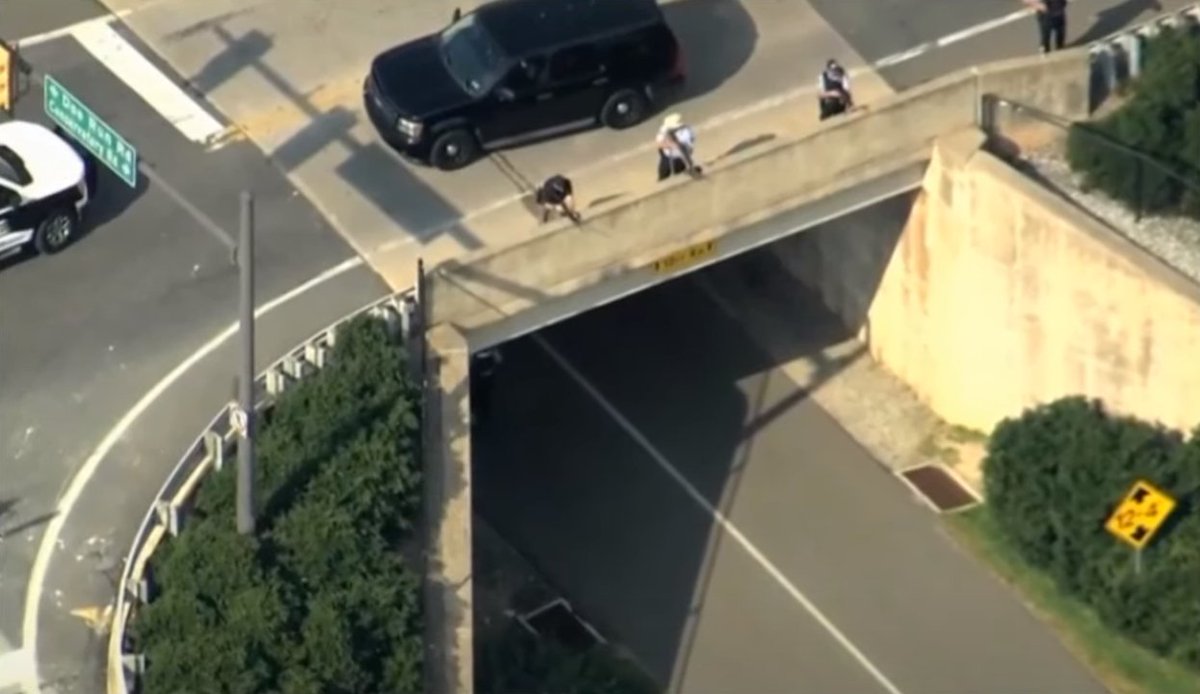 🤩 Michelle 🤩 tweet media