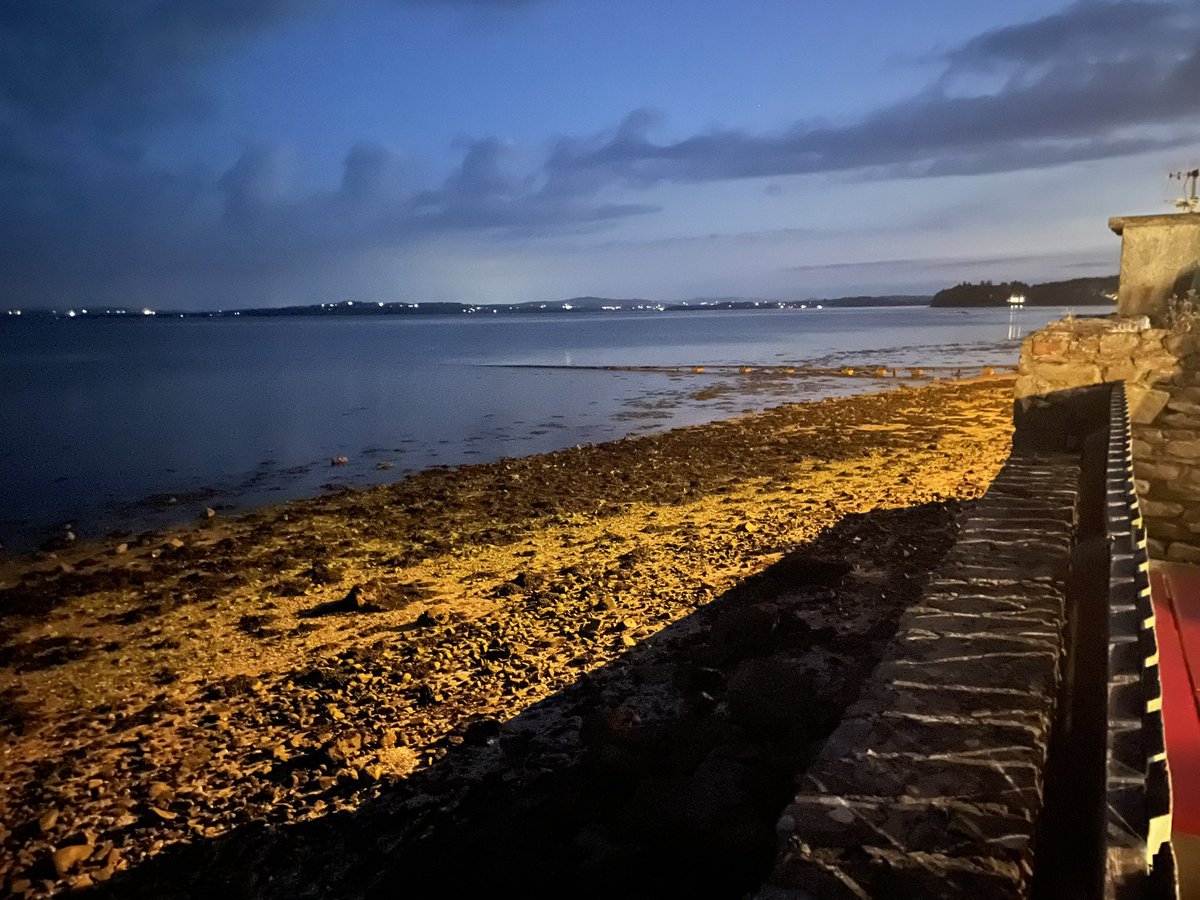 Professor Mary Rose Sweeney tweet media