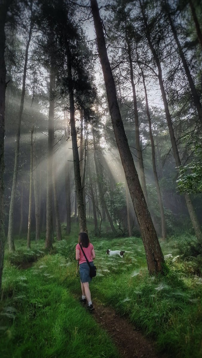A magical walk in the woods to start the day.... . . . #Culter #culterpark #coulter #woods #atmosphere #Lanarkshire #Scotland
