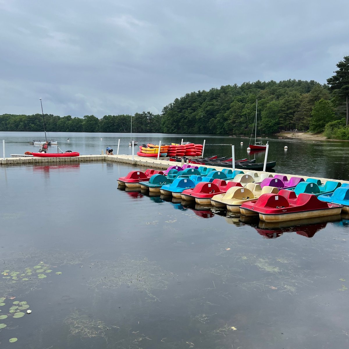 BoatingInBoston's tweet image. Paddle your way into the weekend at Boating In Boston! 🚣