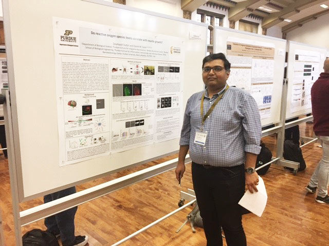 Great presence of our Lab at the Meeting of the @GreaterIndySfN !