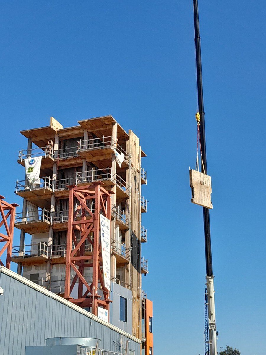 slpei's tweet photo. Wall panels were cut by hand using chainsaw. Cutting face looks so fresh🤠 CLT and MPP panels stacking together again. https://t.co/pW8lgY12qm