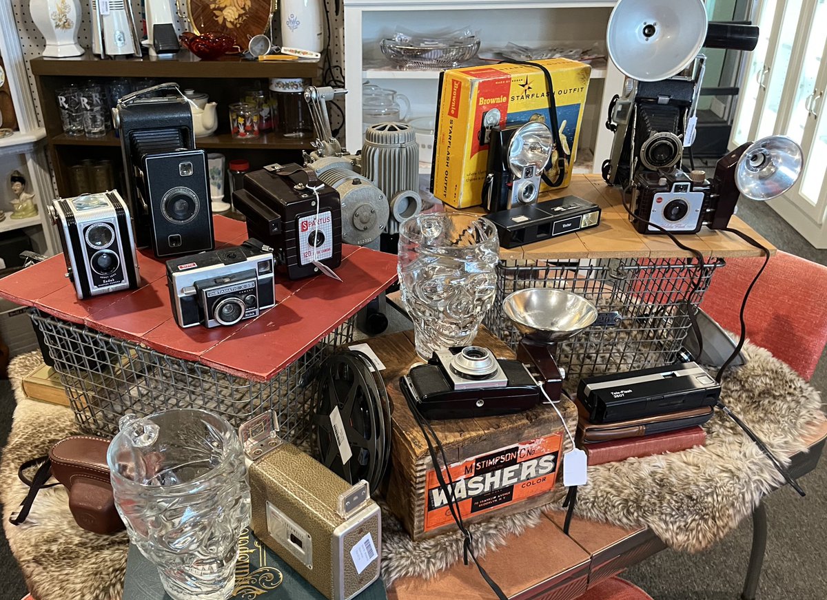 Vintage camera goldmine spotted in #FortCollins All reasonably priced. Can you guess which one I took home? #HistoricPhotography #CameraCollection #antiqueObject #thrift #secondhandshop