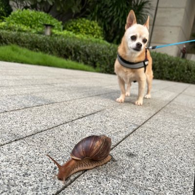etiuny's tweet photo. #NewProfilePic https://t.co/cp3ztBzzgR