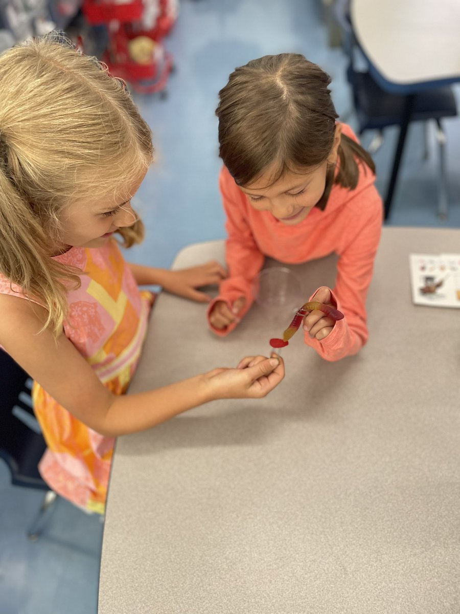 Help us save Fred! 2K ended the week with a teamwork challenge in which students had to work together to save Fred using only the materials shown below. Only paperclips, no hands! <a href="/NMSCTP/">Kathleen Ramirez</a> <a href="/NMSCTAP/">North Mianus School</a>