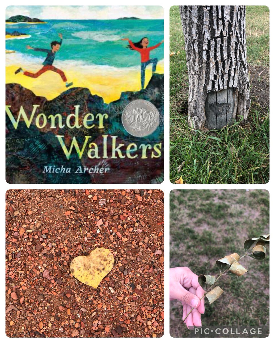 Our read aloud ‘Wonder Walkers’ inspired our nature walk today. We were challenged to find beauty in nature! What did you notice? What did you find beautiful? What made you wonder as you walked? 🌱 <a href="/DHSDhillon/">Avieneet Dhillon</a>