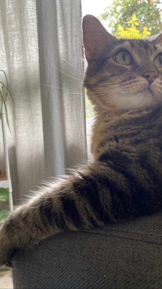 Eleitmx's tweet image. Mi cara cuando escucho a cualquier persona hablar de plantas.