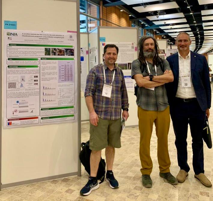 La detección precoz de hongos de madera en frutales es vital para contar con huertos sanos👌🏻Continuamos exitosamente con el desarrollo de nuestro kit para detección de plateado #Chondrostereum 🍄🍒🫐🍎🍑 Resultados presentados por <a href="/jmejias_bassa/">Jaime Mejias</a> <a href="/inia_carillanca/">iniacarillanca</a> en el <a href="/icpp2023/">ICPP2023</a>