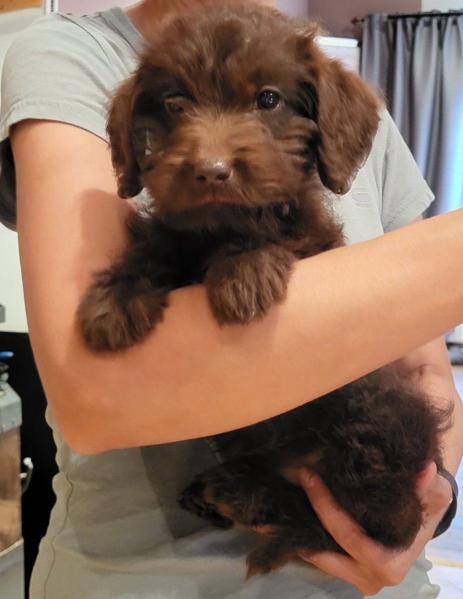 Wat? Wer bisst du denn? 
Murphy sagt hallo 🥰