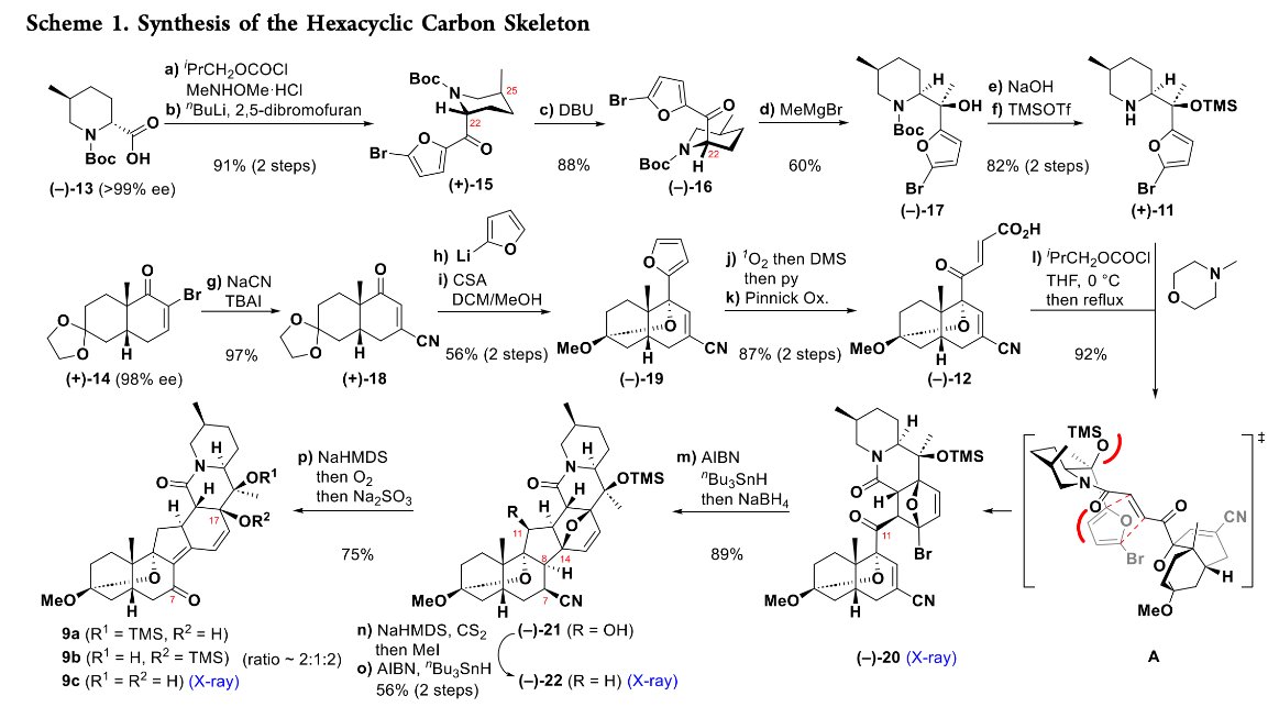 TotalSynthesis's tweet photo. Enantioselective #TotalSynthesis of (−)-Zygadenine by Yinliang Guo, Jia-Tian Lu, Runting Fang, Yang Jiao, Jiaqi Liu, and Tuoping Luo @PKU1898 in @J_A_C_S https://t.co/Yka1NBQ0Lb https://t.co/LciD3XF9mI