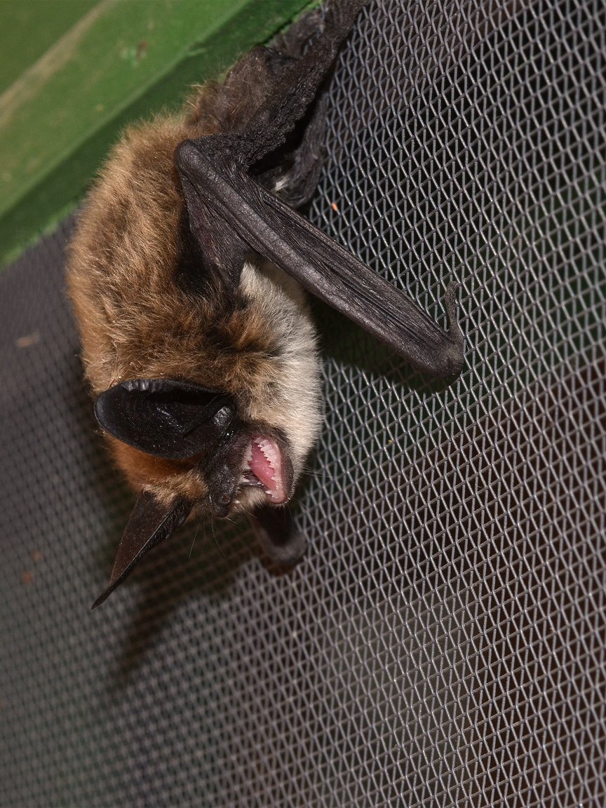 The face you make when you realize its Friday #TGIF #BandelierNationalMonument