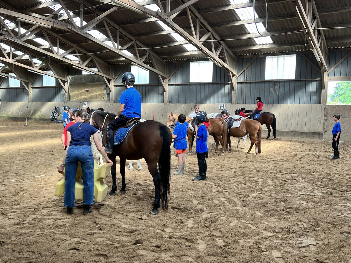 DelfMorand's tweet photo. Les élèves de 6e du [clg Les Rochers Sévigné] ont suivi un très beau programme  sur cette journée d’intégration : atelier avec notre voisin et partenaire l’étrier vitréen, l’arbre des qualités, le Flashmob. #climatscolalre #rentree2023 Un grand 🙏 aux équipes &amp; à l’étrier vitréen https://t.co/ppXxmvDq7e