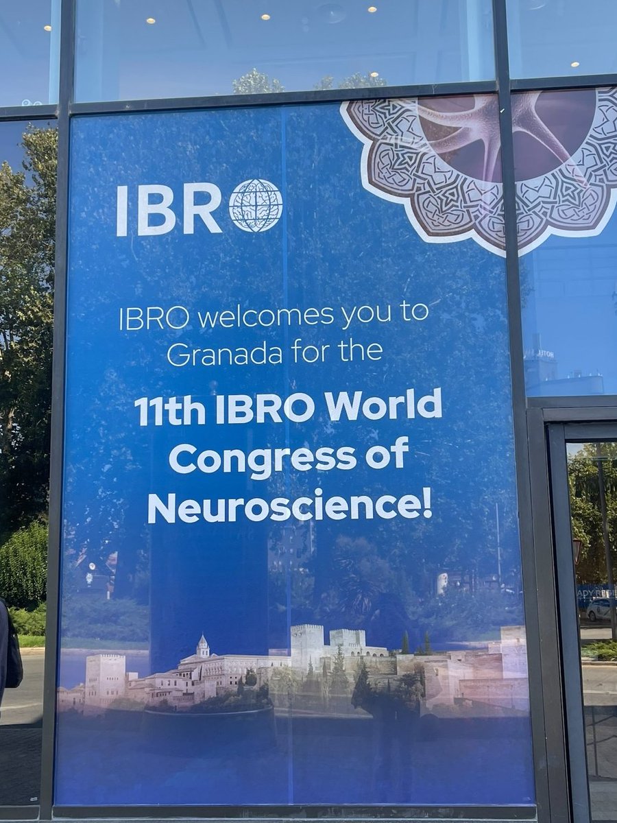 mightexsystems's tweet photo. 🌟The first session of #IBRO2023 starts today and we're thrilled to be in beautiful Granada, Spain🇪🇸. Don't miss the exhibit opening tomorrow morning! Stay tuned for more updates.
#Neuroscience #OASISimplant #Mightex https://t.co/F7PXLwmyMz