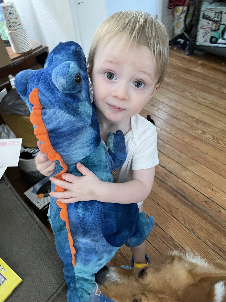 wesruckerTBA's tweet photo. Hank is HOME at least for now, and thanks to @GrantRamey he has a new book to read and a huge new blue dinosaur.

Hopefully we get to stay home until next surgery in a month. Being home under house arrest is better than being in the hospital.

Thanks to everyone for everything. https://t.co/YGRFxMDk6U