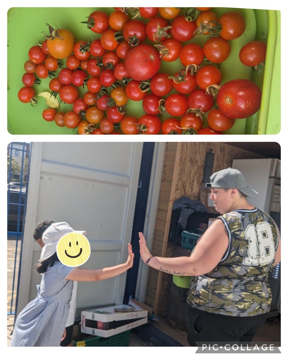 Another busy afternoon in #BigBocsMaindee and our #UniformShop
DIOLCH Mrs Mizon ,Year 3 and Year 4 for the delivery of juicy tomatoes fresh from the allotments 🍅🍅

#HealthyCommunity
#SustainableFuture