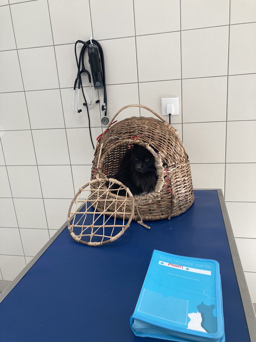 ✨✨Dr. Pounti tweet media