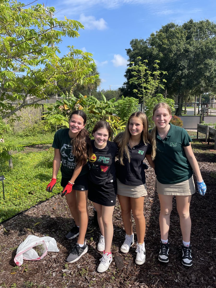 PC Community Service tweet media