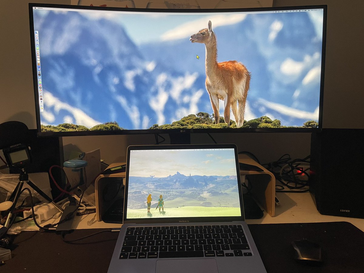 La Classe Du Lama🦙 tweet media