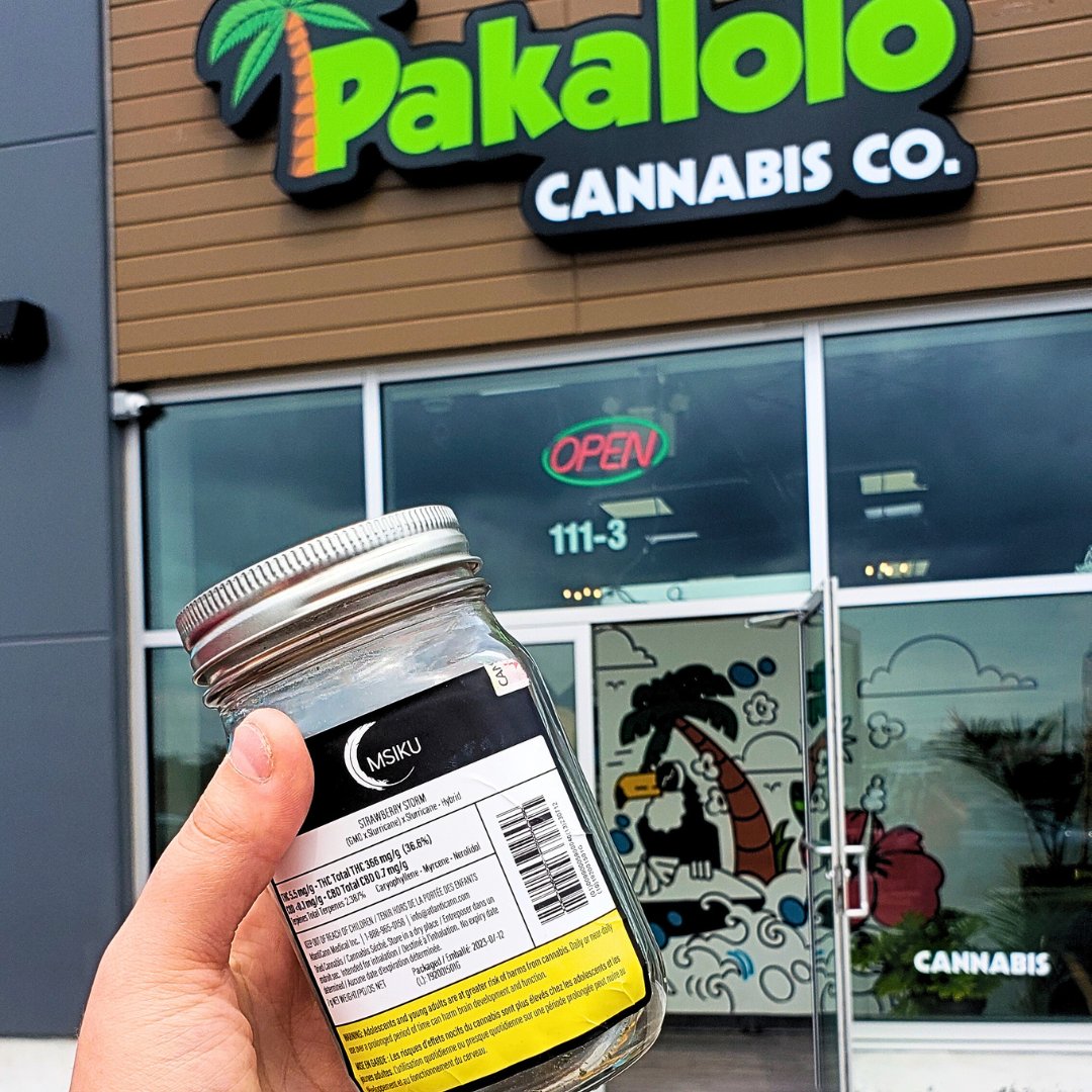 @MSIKUofficial tweet media