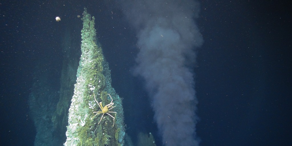 Ocean_Networks's tweet photo. DIVE ALERT 🚨Swim through #HydrothermalVents with us at Endeavour, over 2000m below the surface 👉 https://t.co/VEPwLpfJwF
@PelagicServices @CoastGuardCAN #KnowTheOcean #ONCabyss #PelagicResearch #SharingScienceAtSea https://t.co/seawOF9EpY