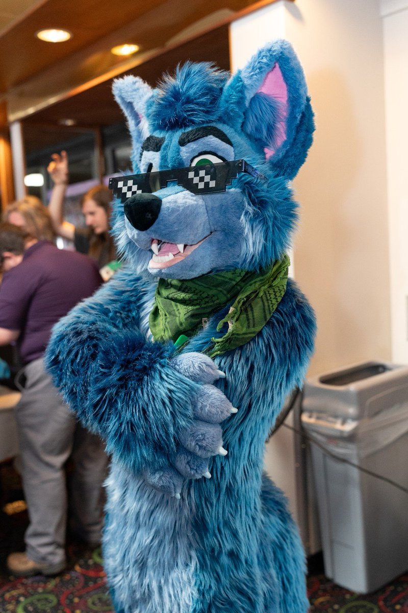 SirMossington's tweet photo. Enzo Mossington, the Bossington 😎

#FursuitFriday 
🪡 @koshkafursuits 
📸 @stantwelm https://t.co/tXkUqL3CGO