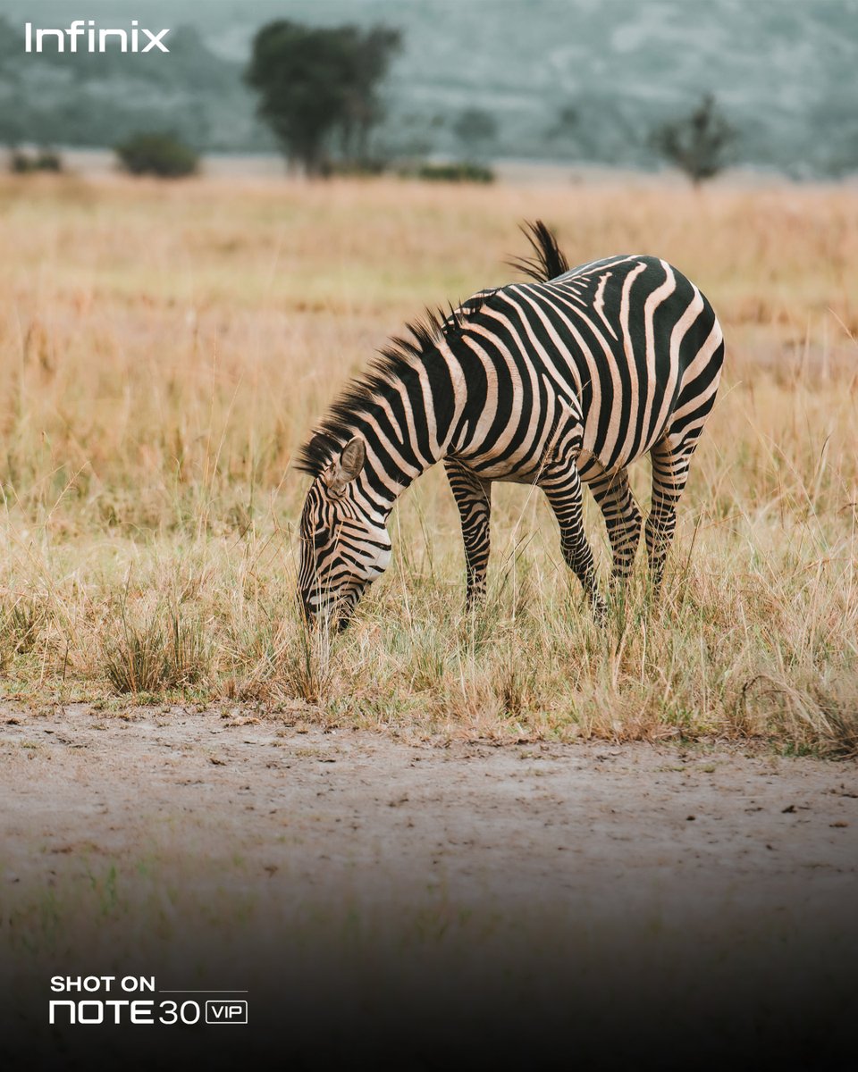 infinixrwanda's tweet image. ba mu bambere bavuga aho iyi foto yafatiwe mu rwanda unasobanure igisubizo cyawe utsindire impano ya infinix. #Note30VIP #ShotOn