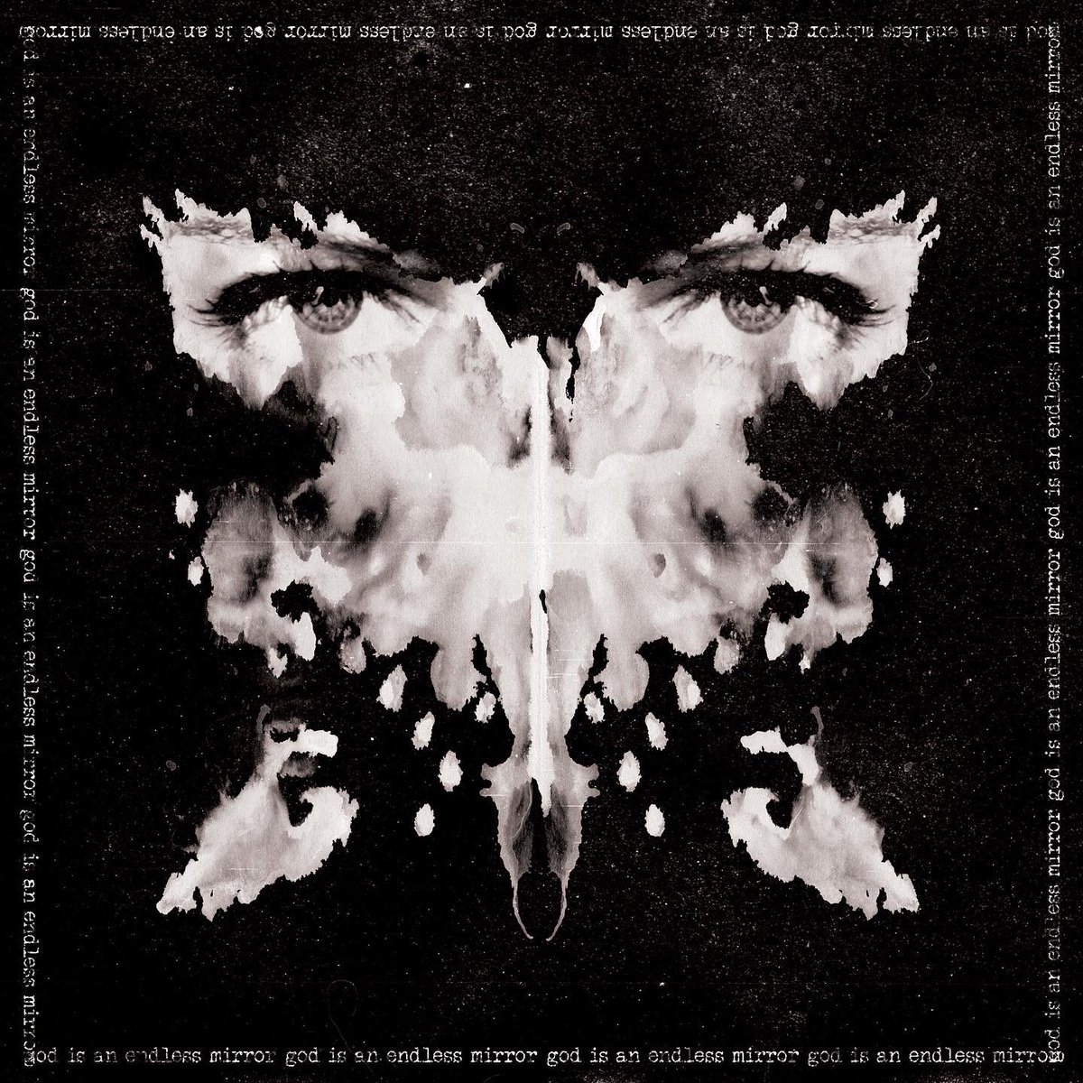 JAYLI WOLF tweet media