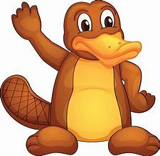 I have been having many problems with this account. Primarily I have been unable to reply to Trweets. For that reason, I opened a new account  <a href="/PlayfulPlatty/">Playful Platypus</a>. Have a wonderful Day!!!