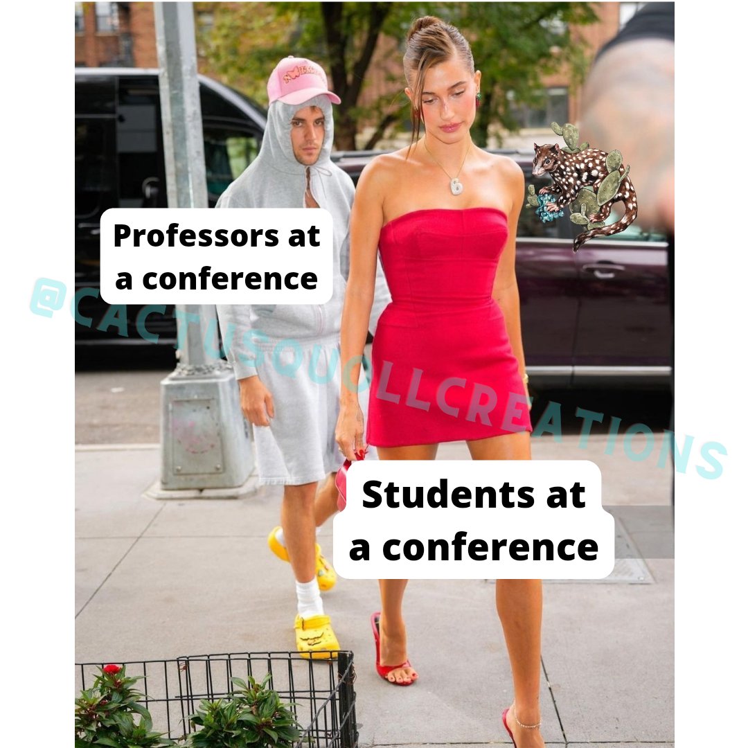 Gael Sanchez (she/her) (@cactusquoll) on Twitter photo 