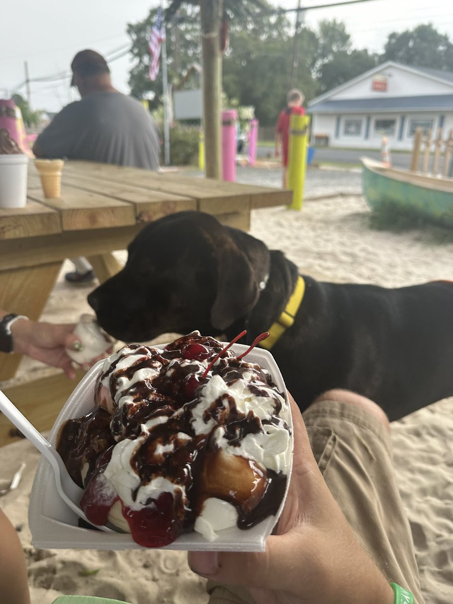 Chris Amos tweet media