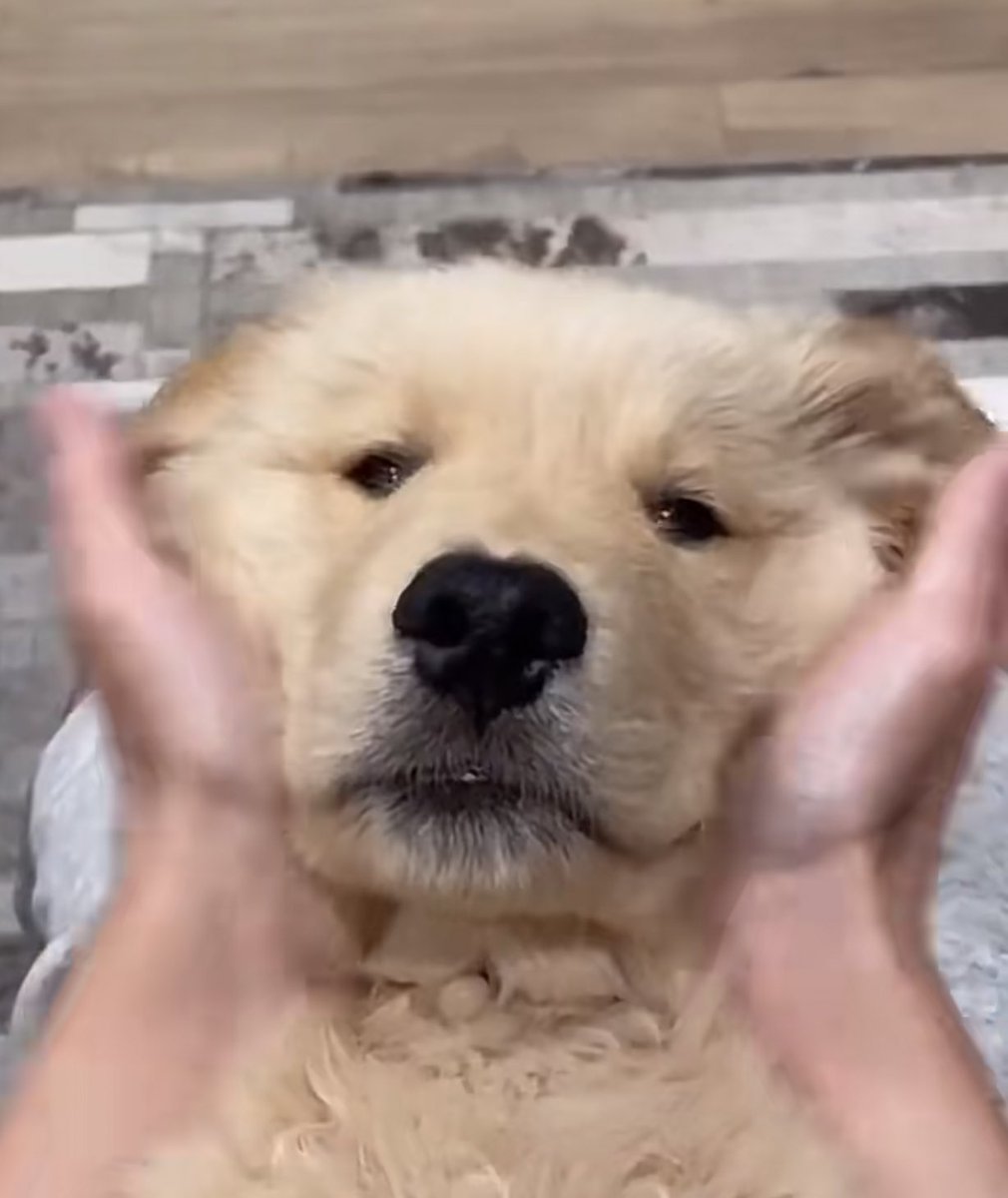 ก็จุ้บสิ