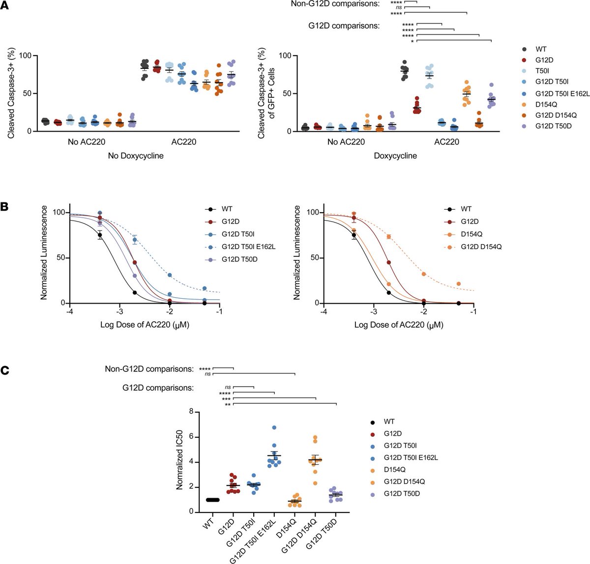 Excited to share that our work was published in
<a href="/JCI_insight/">JCI insight</a>! We developed an inducible Ras isogenic cell line to provide insights into Raf activation. doi.org/10.1172/jci.in…. <a href="/UCSFCancer/">UCSF Helen Diller Family Comprehensive Cancer Ctr</a> <a href="/theNCI/">National Cancer Institute</a>.