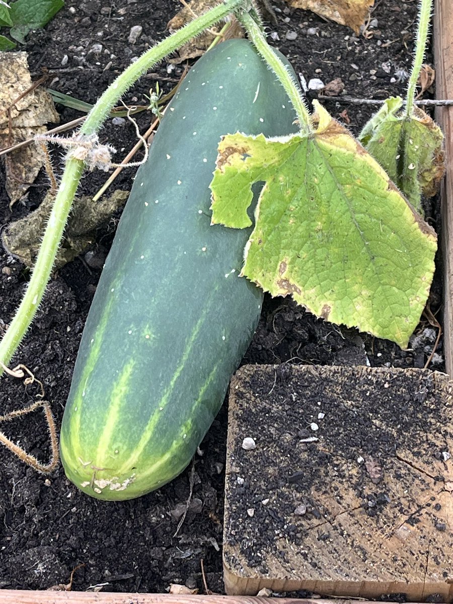 Anne Tervit tweet media