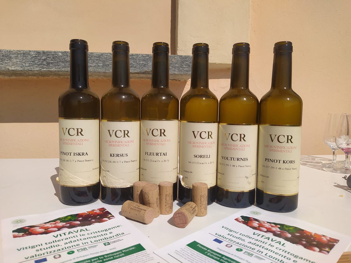 Oggi a Torrazza Coste (PV) si è svolto l’ultimo di 3 eventi, organizzati all’interno del progetto VITAVAL, che prevedevano la visita ai campi sperimentali e la successiva degustazione di vini prodotti da uve da vitigni resistenti
#piwi #civit #vcr #viticoltura #riccagioia #ersaf