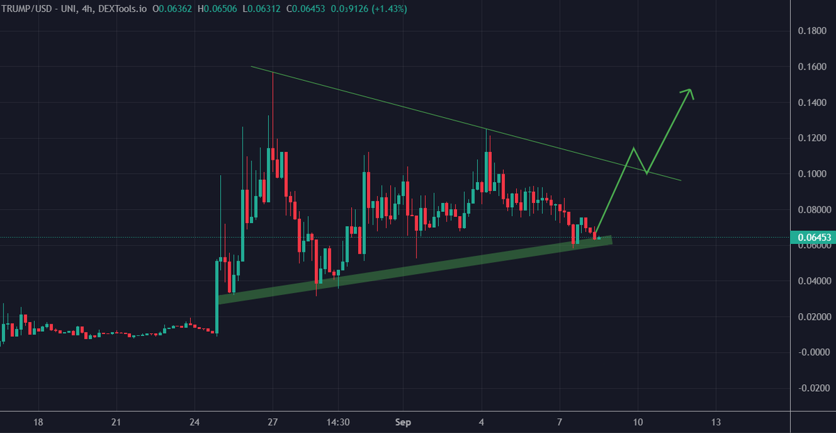 Smells like $TRUMP will perform another pump, teaming up with Operation Underground Railway, the organization featured in The Sound of Freedom movie, to combat human trafficking, daily crypto marketing campaign starting in 2 days.

Team has donated $50K to the Trump &amp; vets,