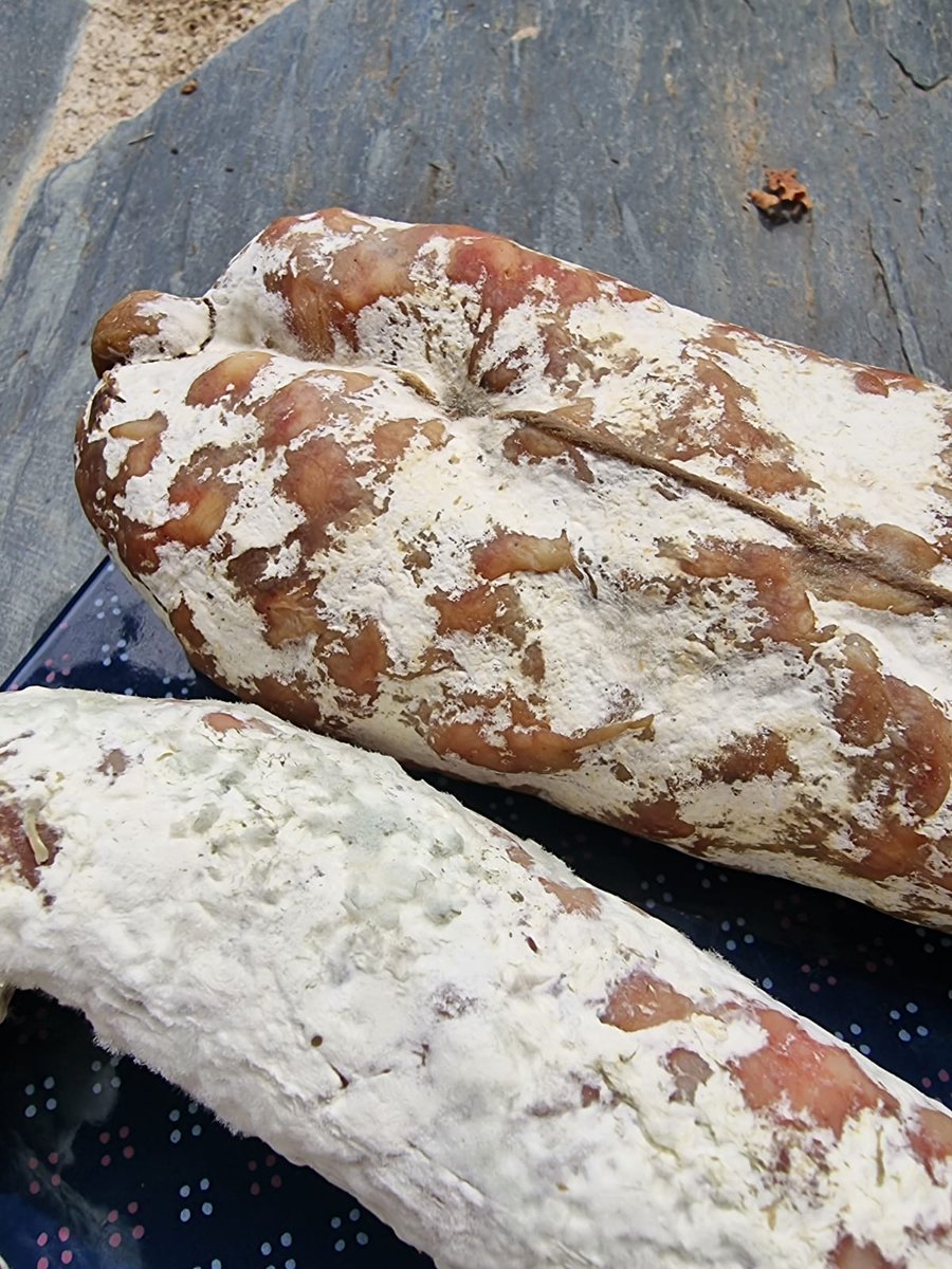 Domestication of dry-cured meat Penicillium fungi via horizontal gene transfers! #starships
doi.org/10.1111/eva.13…